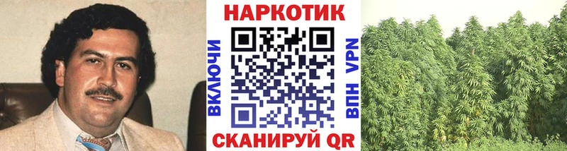 Псилоцибиновые грибы Городец