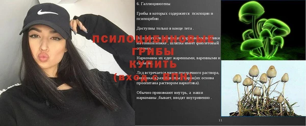 мяу мяу кристалл Коряжма