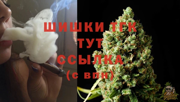 Альфа ПВП Костерёво