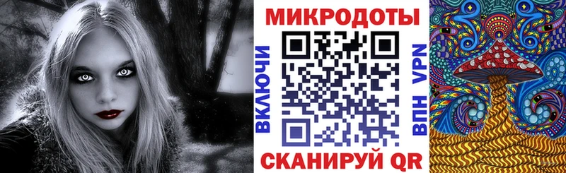 Галлюциногенные грибы GOLDEN TEACHER  Купить  Городец 